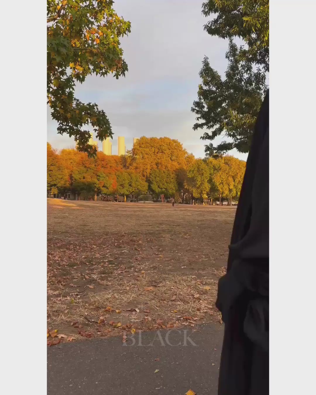 Load and play video in Gallery viewer, Arwa Set
